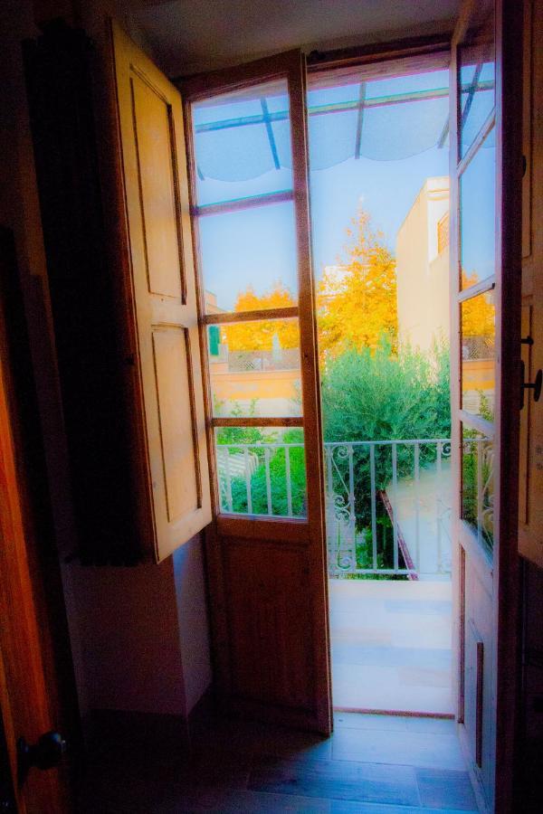 "Sea & Center" Free Beach, Wifi, Mini Pool, Roof Terrace, Ladispoli, Rome المظهر الخارجي الصورة